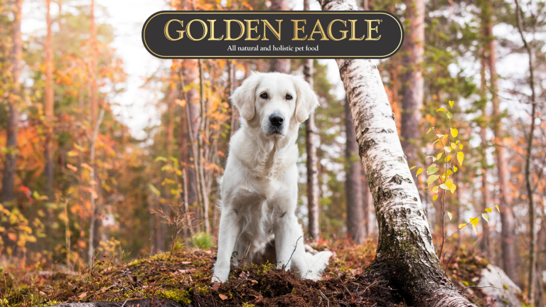 Golden Eagle logo