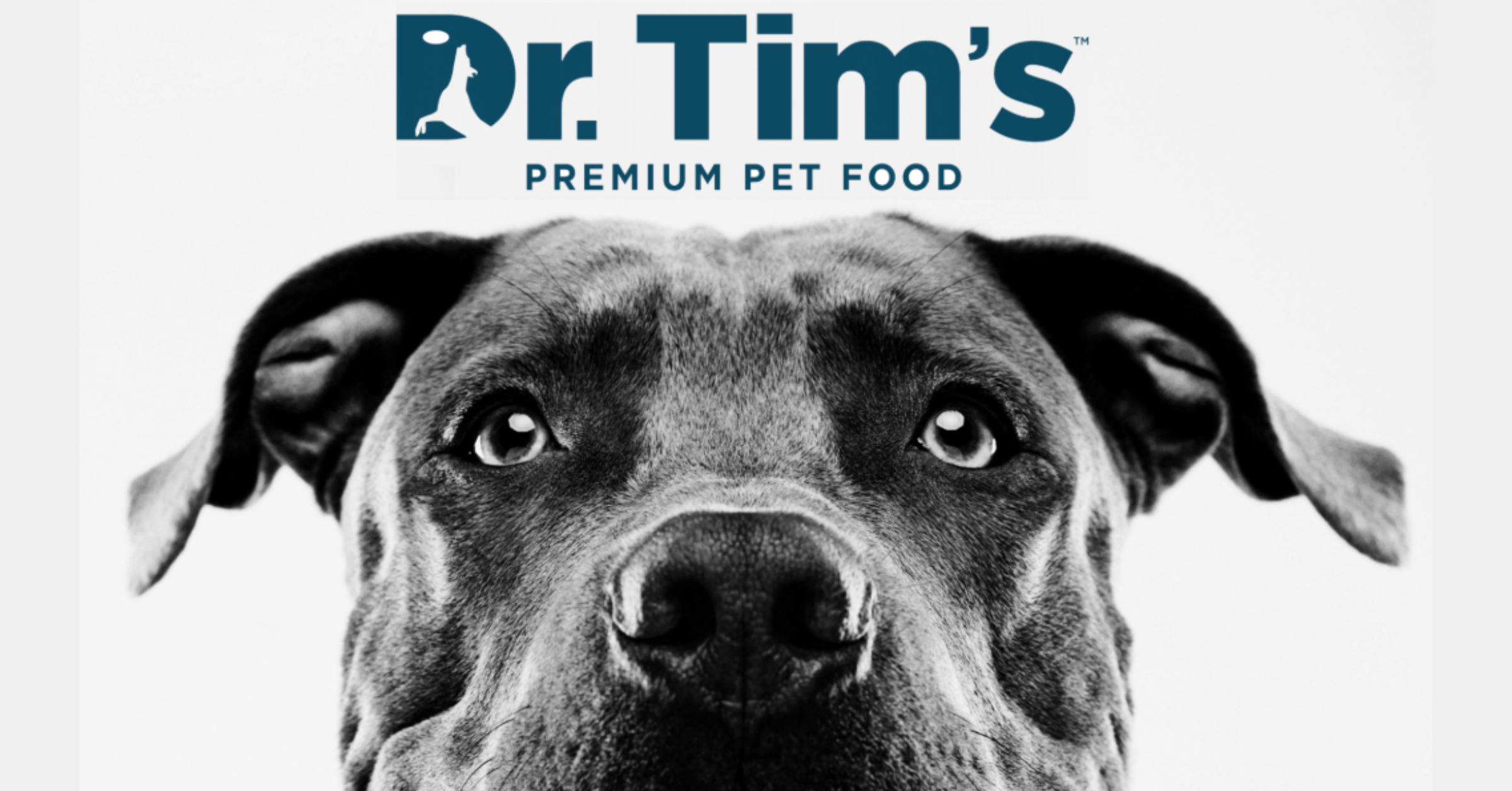 Drtims logo