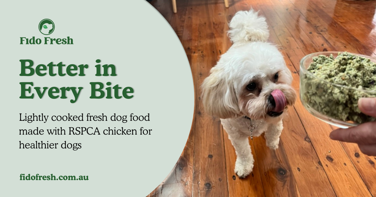 Fido Fresh logo