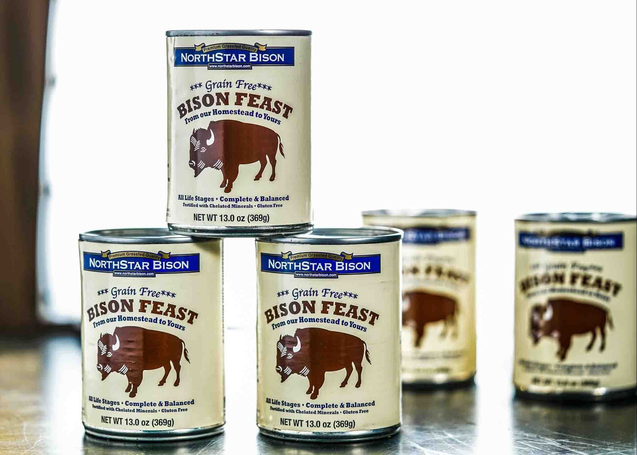 Northstar Bison logo
