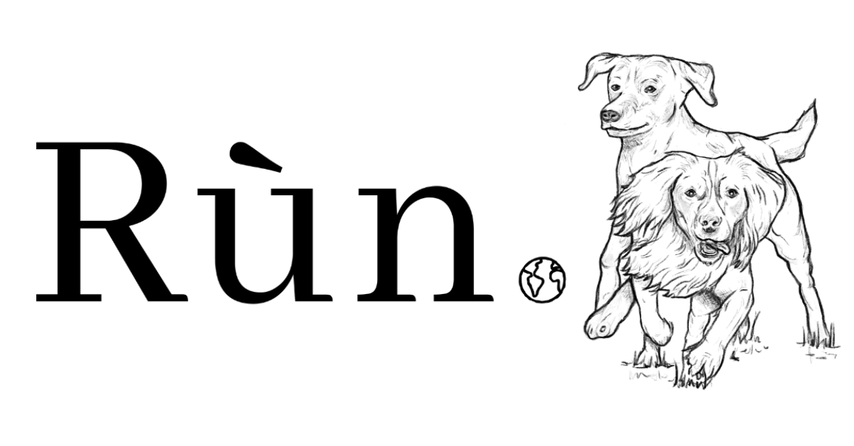 RUN logo