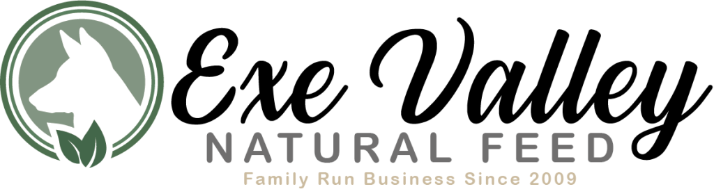 Exe Valley logo