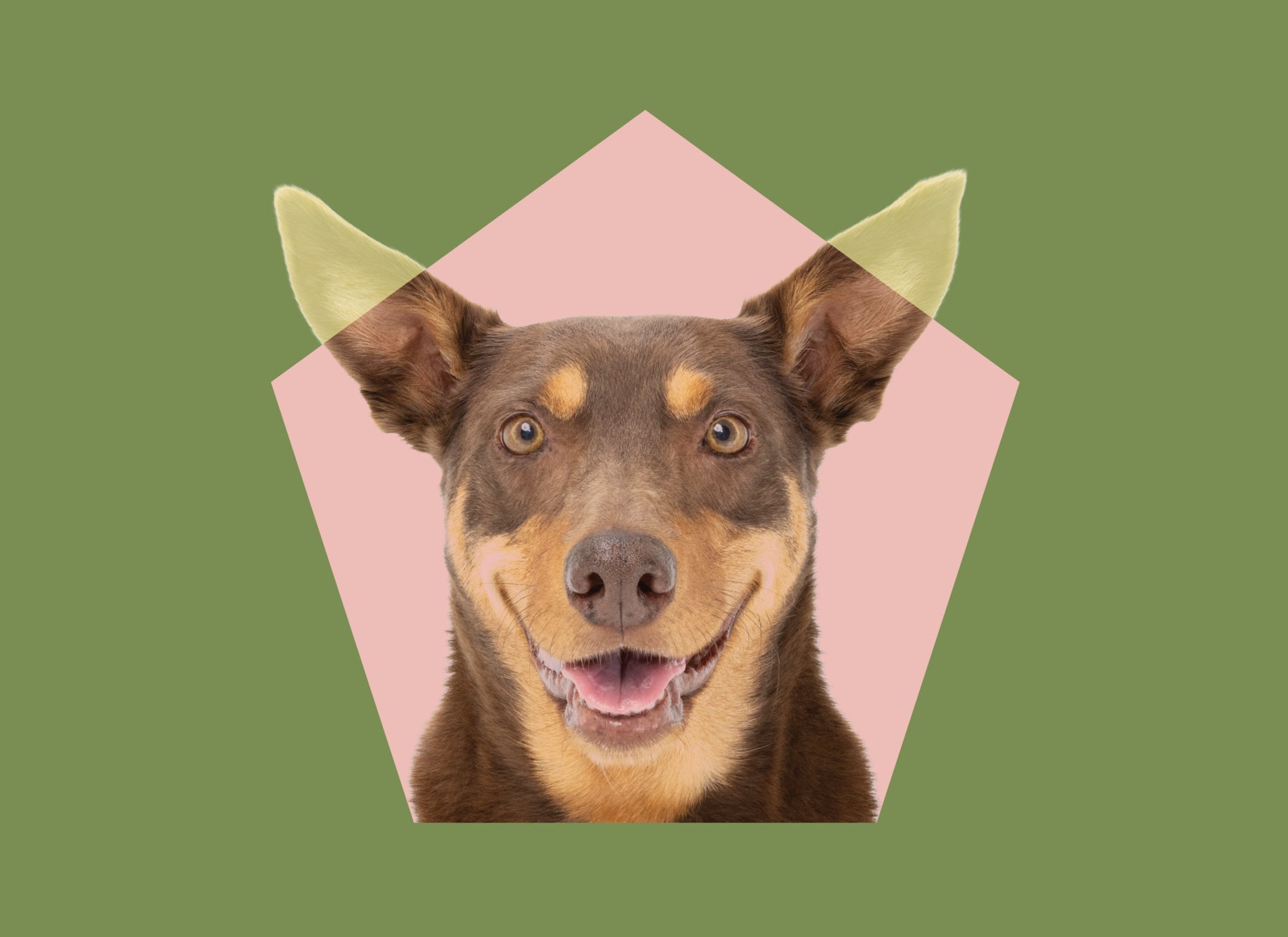 BuggyBix logo