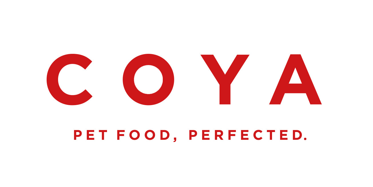 Coya logo