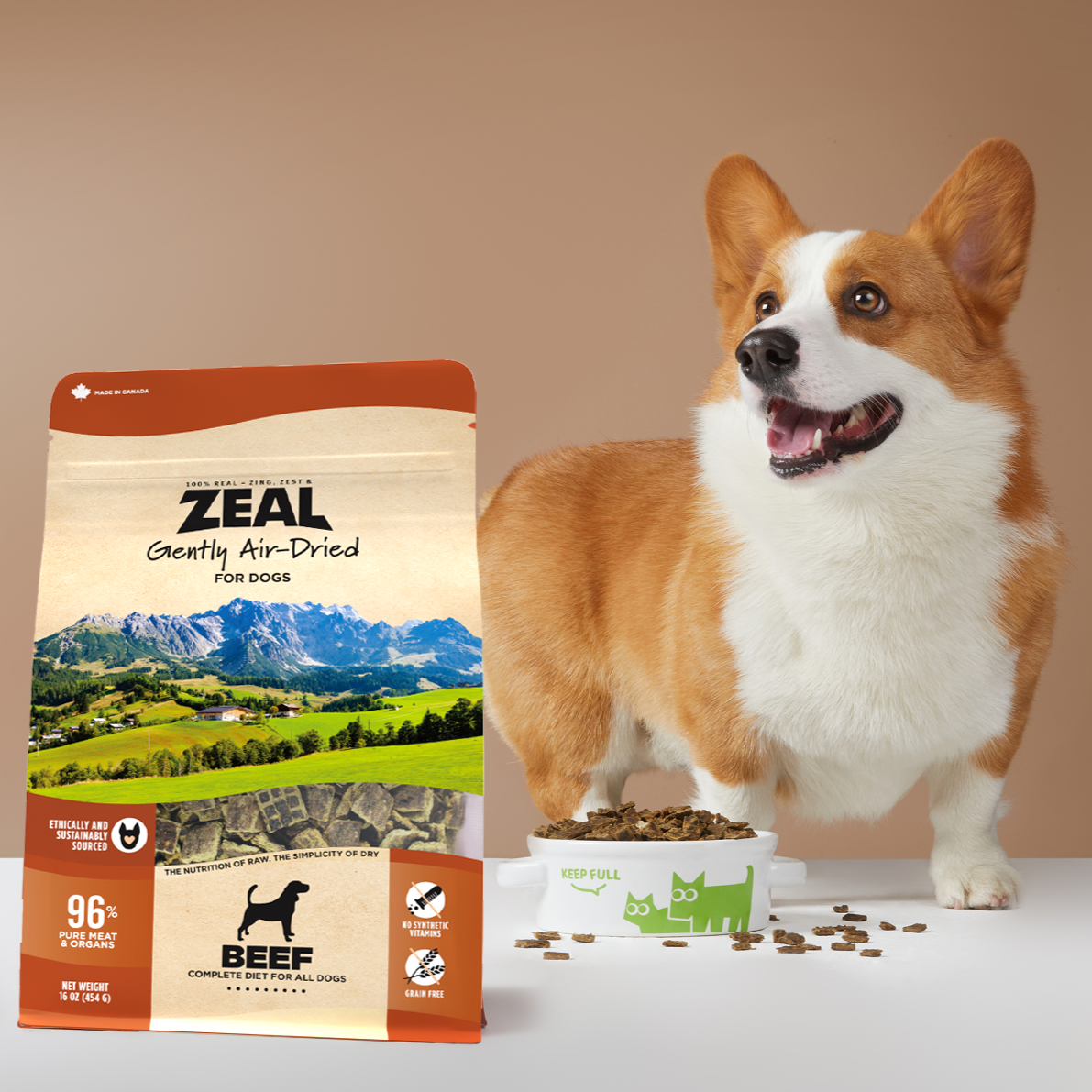 ZEAL logo