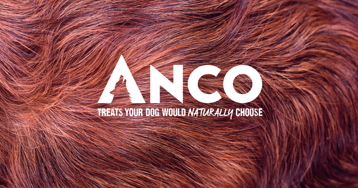 Anco logo