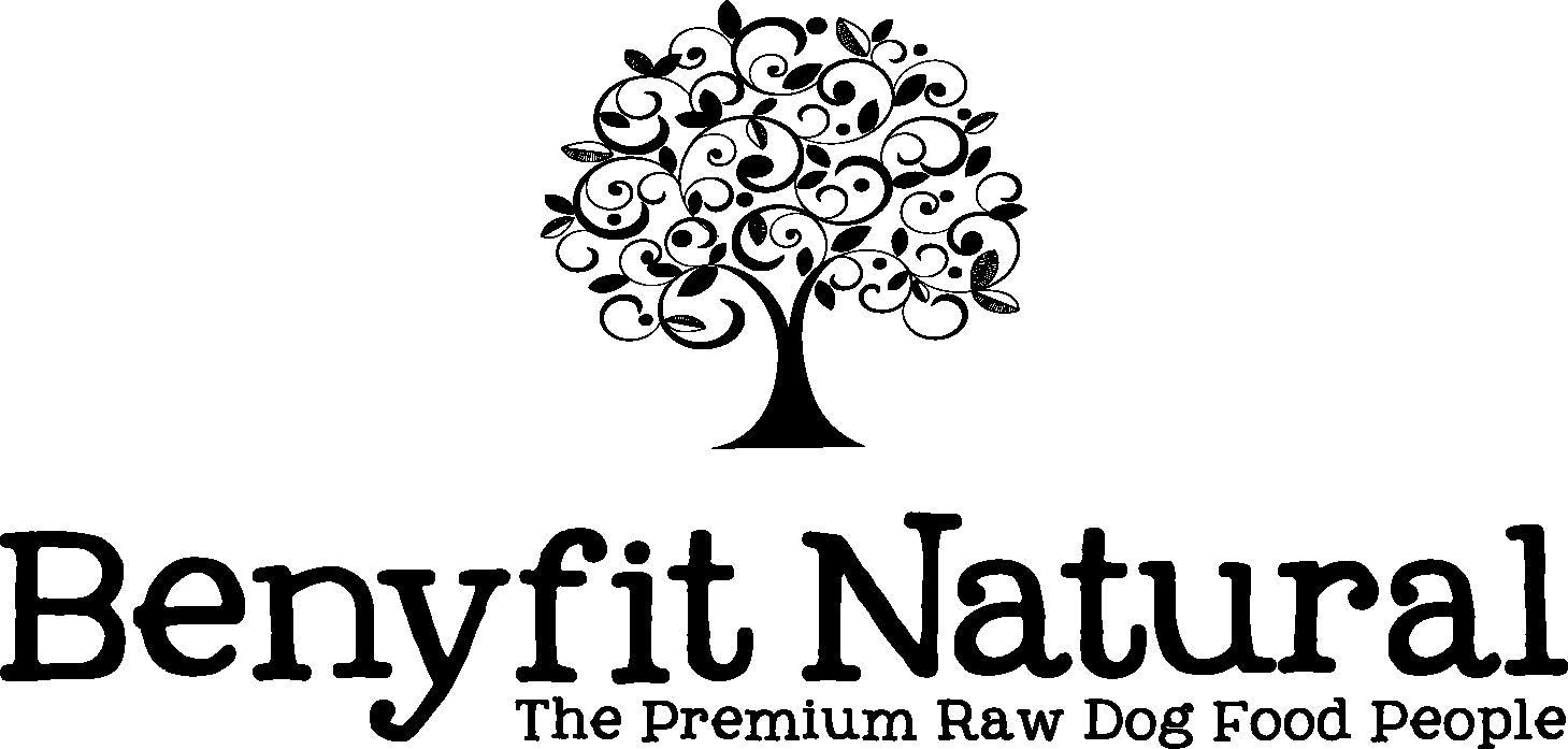 Benyfit Natural logo