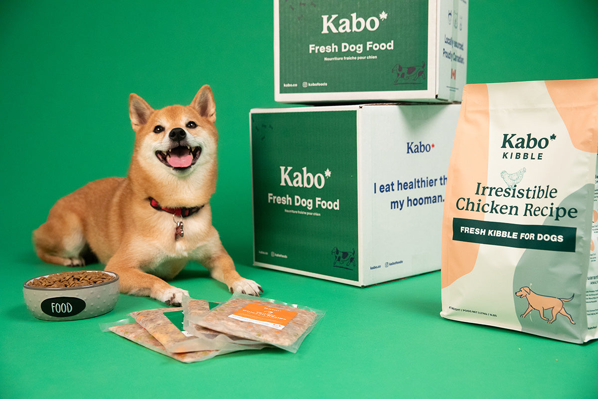 Kabo logo