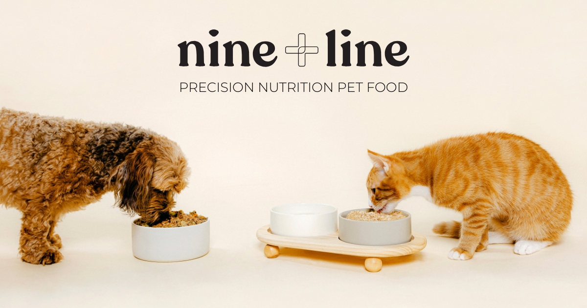 Nine & Line logo