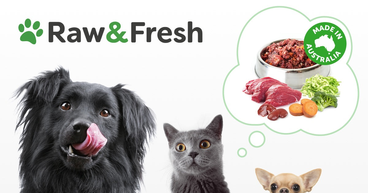Raw & Fresh logo