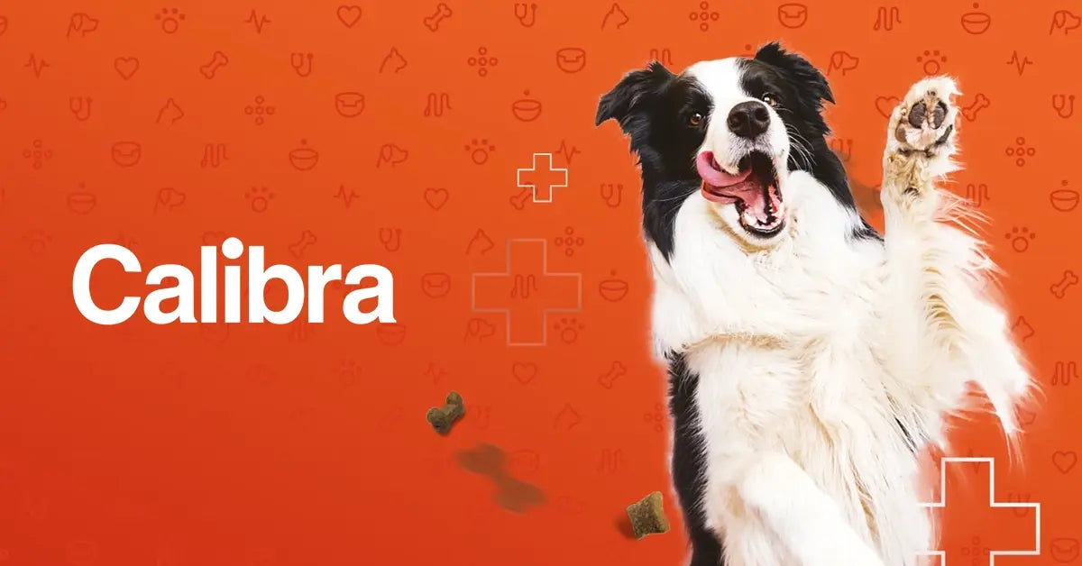 Calibra logo