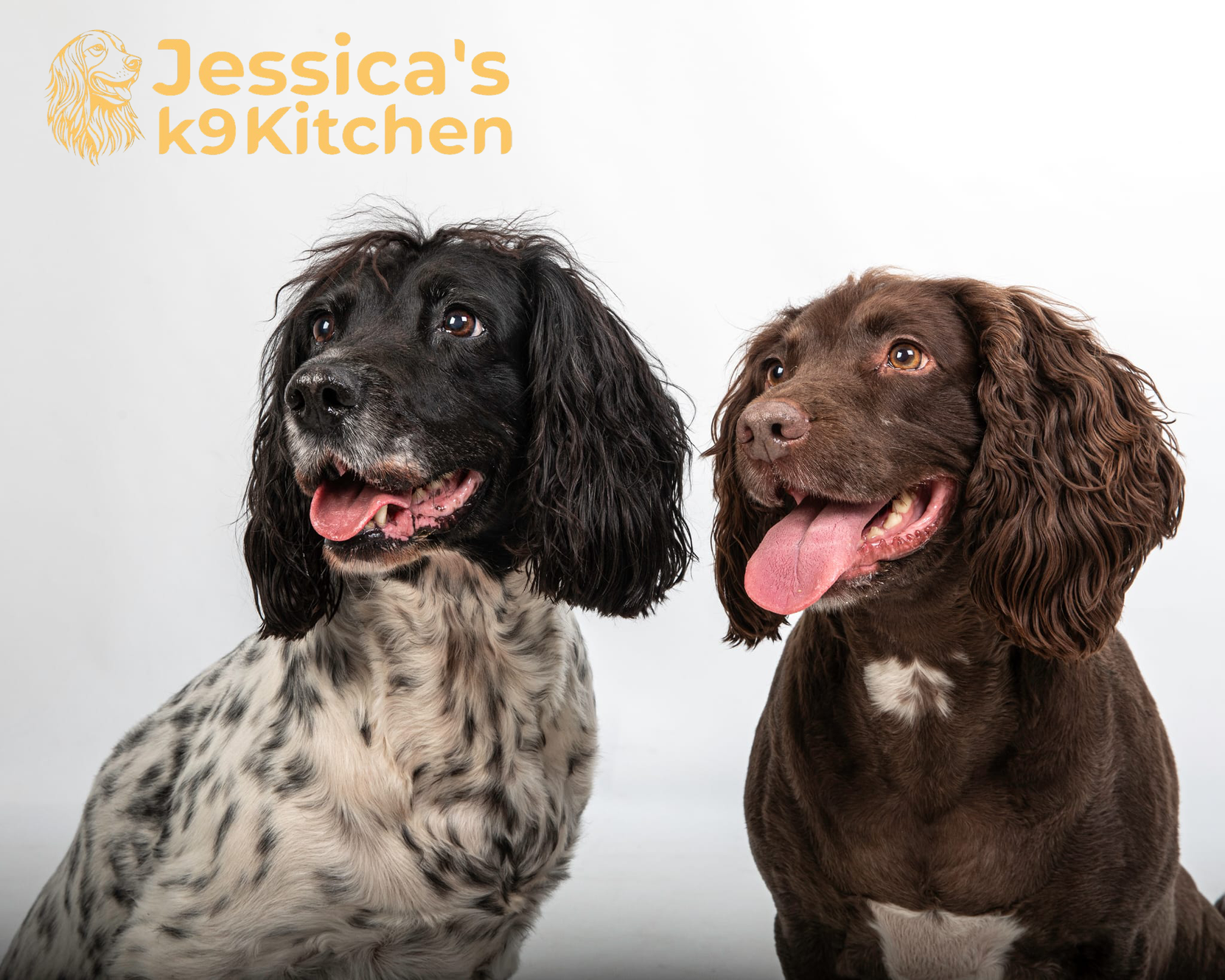 Jessica's K9 Kitchen logo