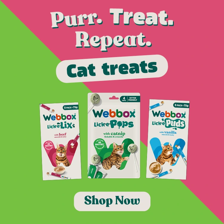 Webbox logo
