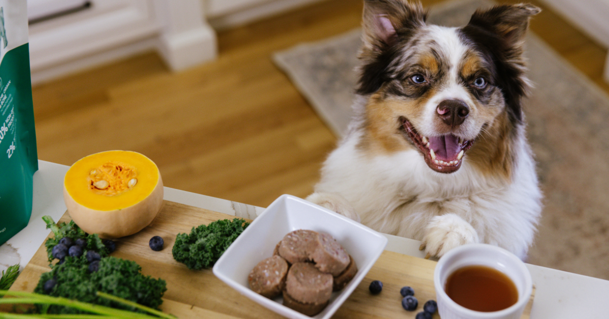 Smallbatch Pets logo