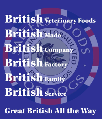 Salters logo