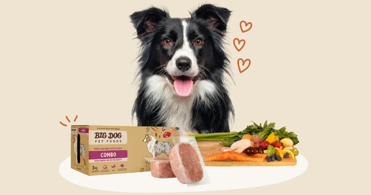 Big Dog Pet Foods logo