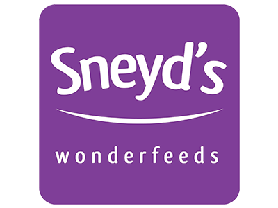 Wonderdog logo