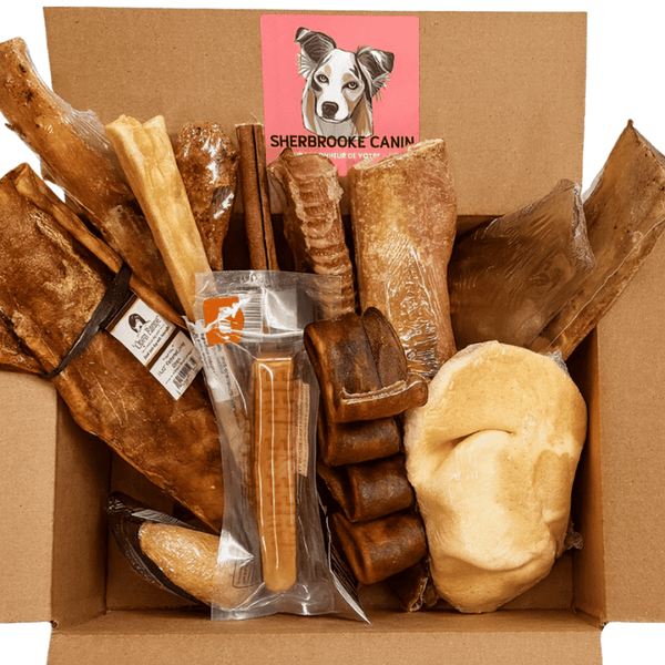 Sherbrooke Canin logo