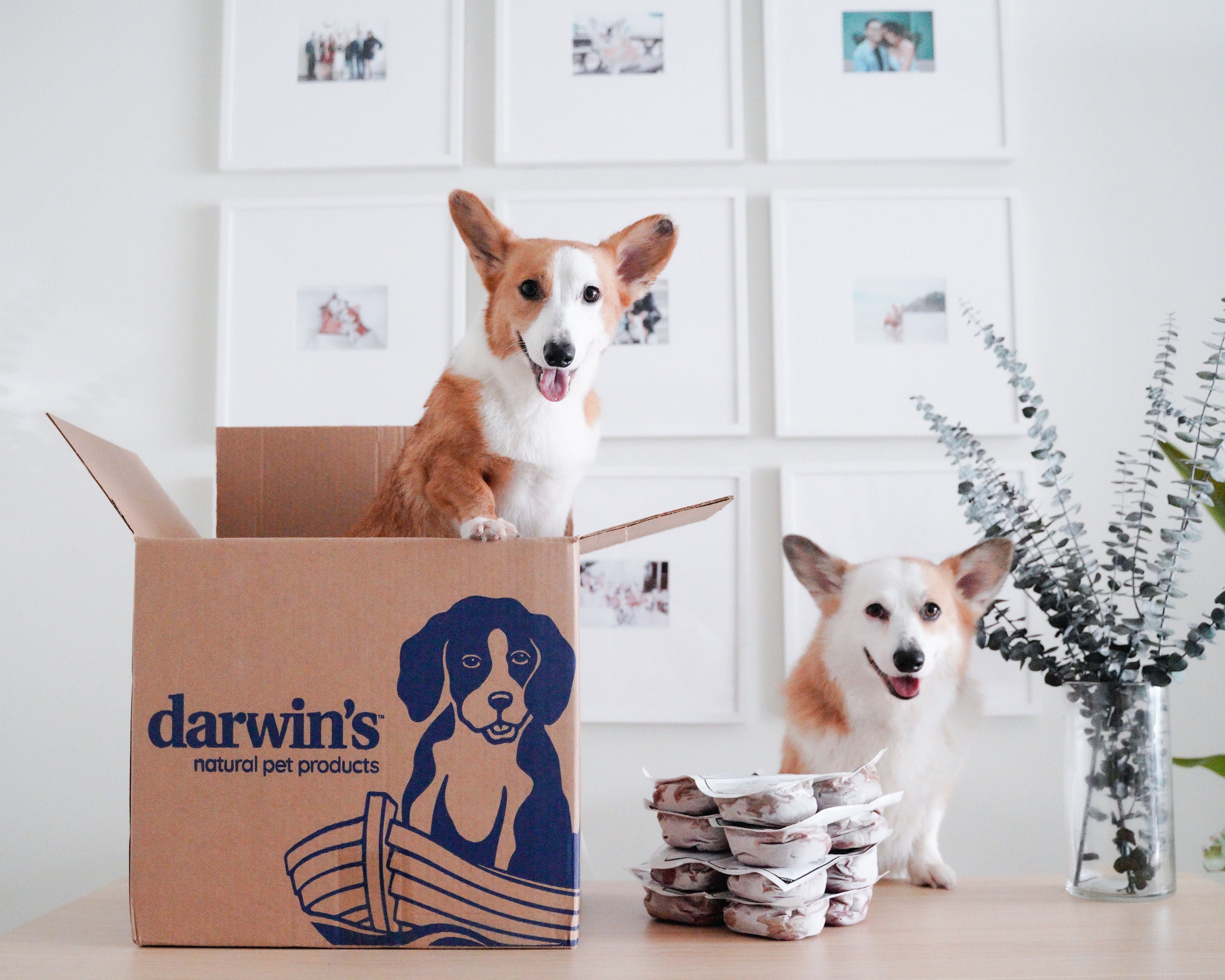 Darwin's Natural Pet Products logo