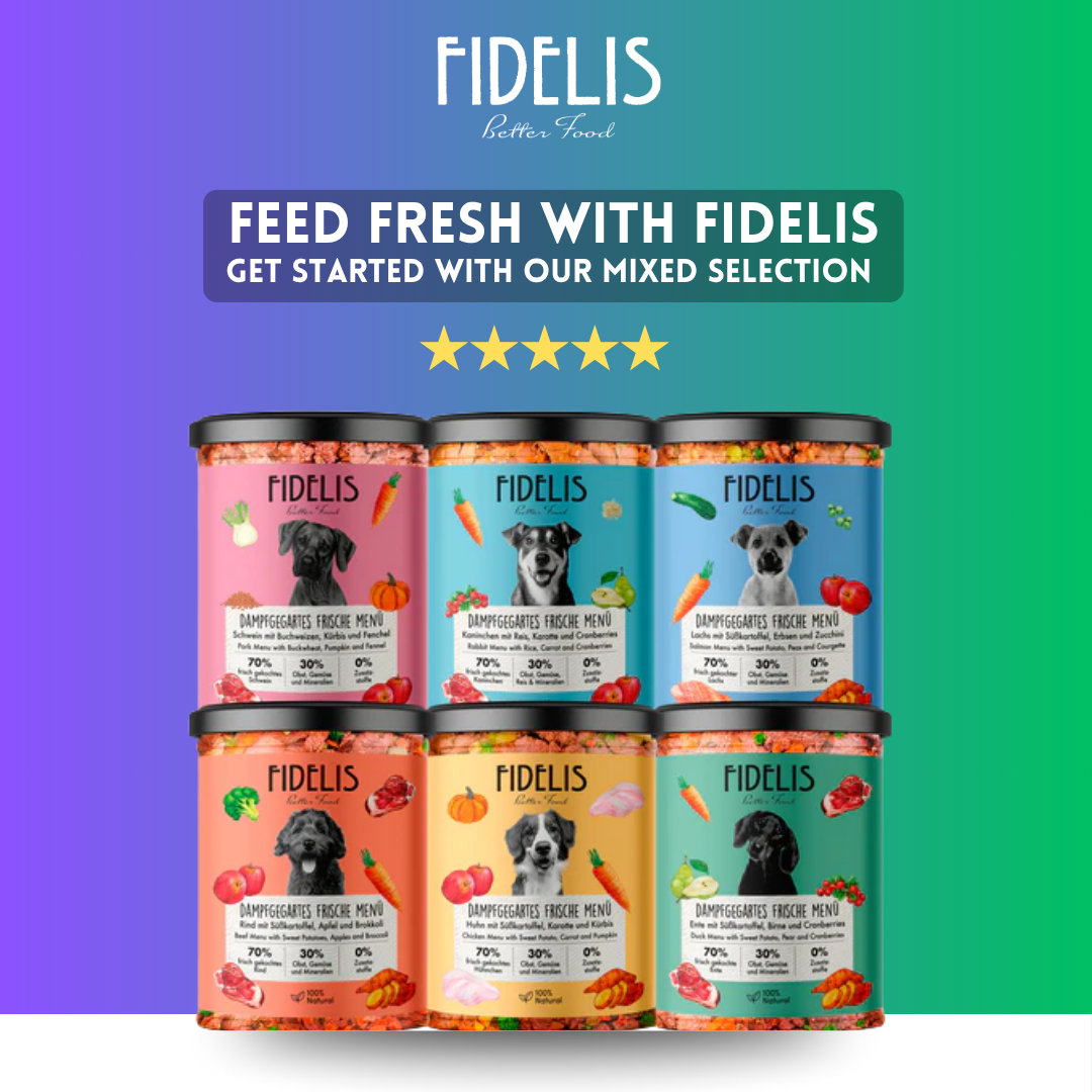 Fidelis logo