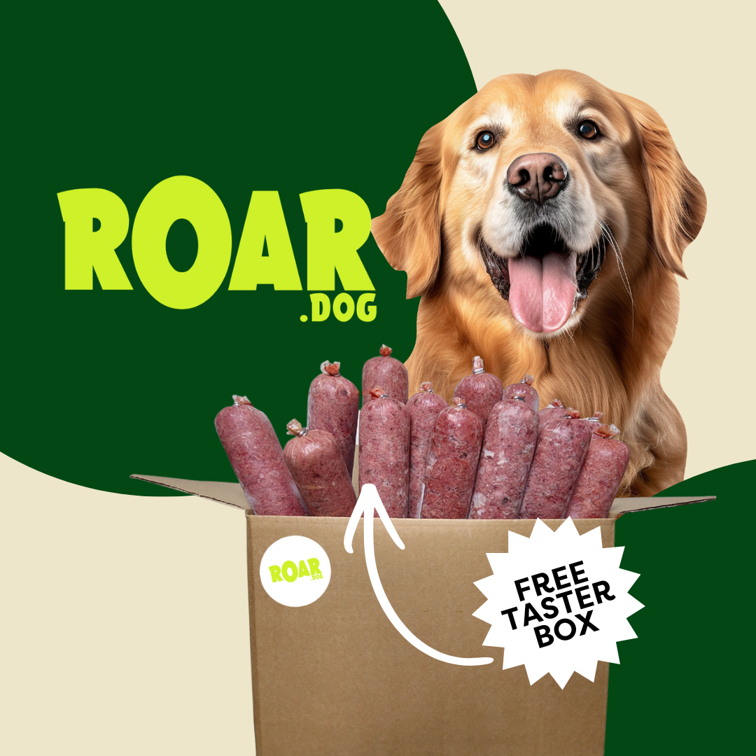 ROR logo