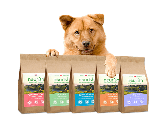 Nourish logo