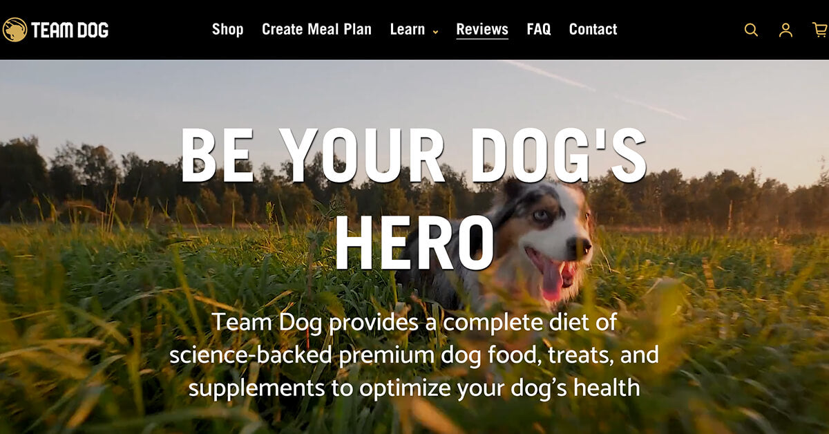 Team Dog Shop logo