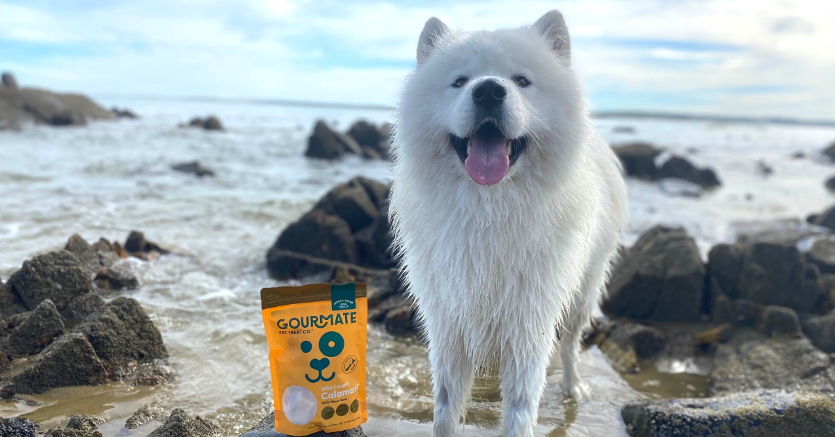 Gourmate Pet Treat Co. logo
