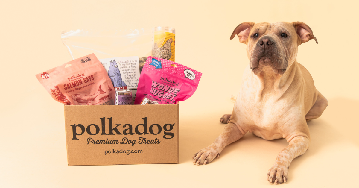 Polkadog logo