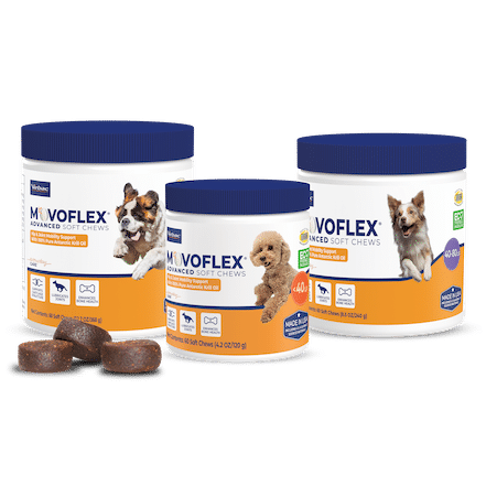 MOVOFLEX Advanced Soft Chews