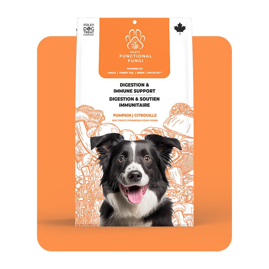 Digestion & Immune Support - Pumpkin