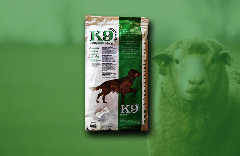 Lamb