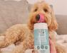 Super Tummy Daily Chews