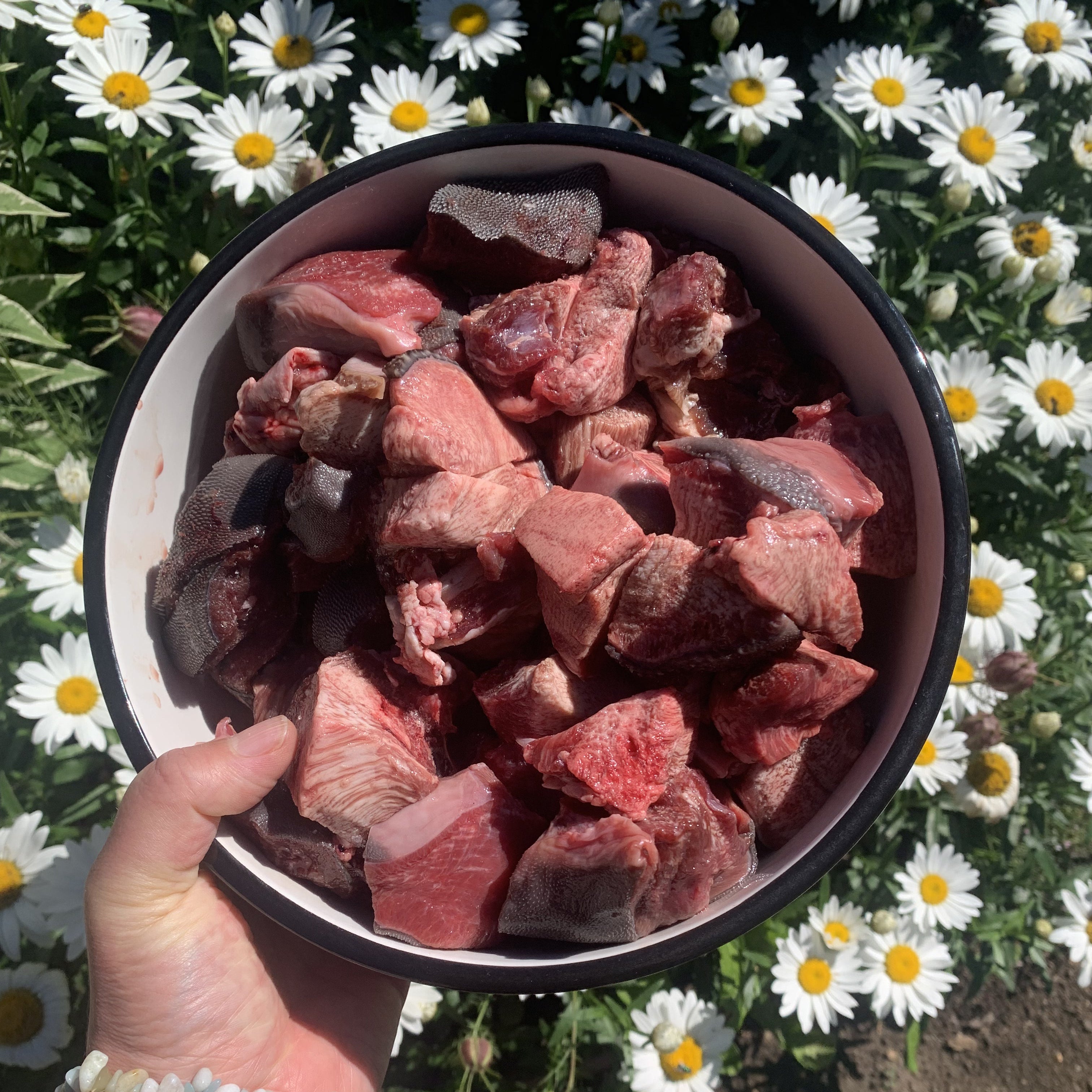 Pork Tongue Chunks