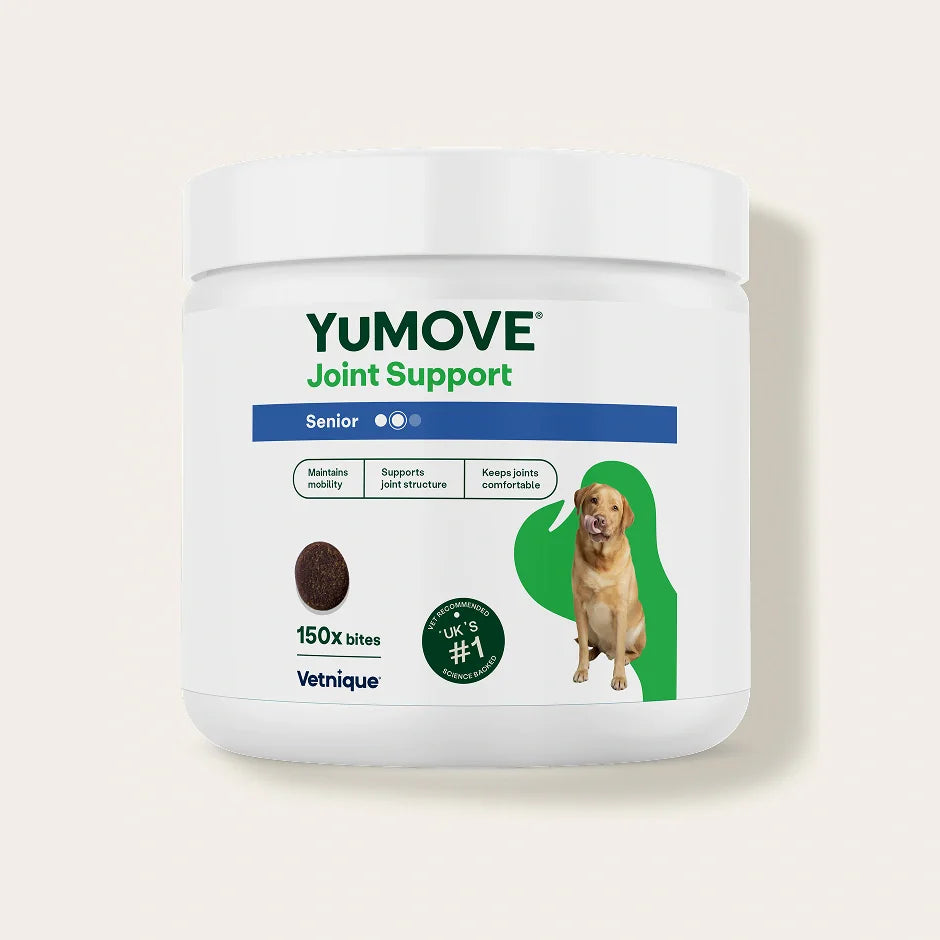 Joint Support Daily Bites for Senior Dogs