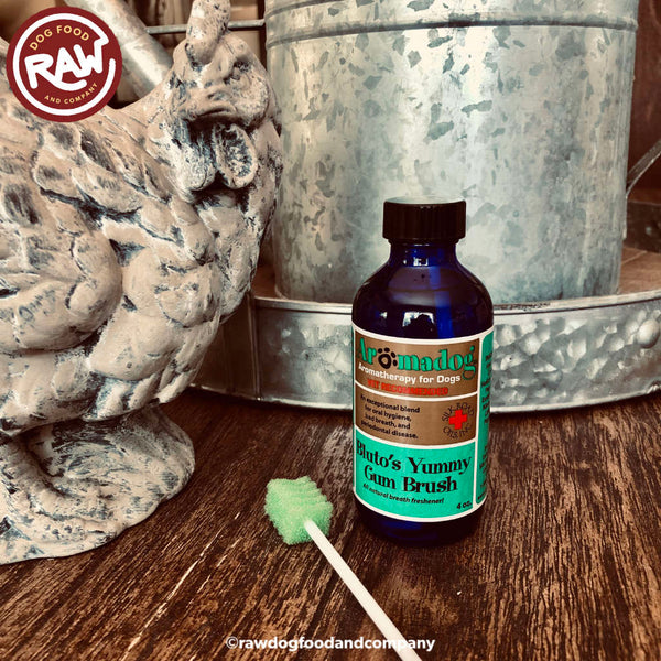 Yummy Gum Brush - A Natural Breath Freshener