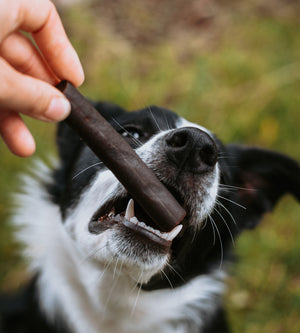 Ostrich Prime Tender Sticks