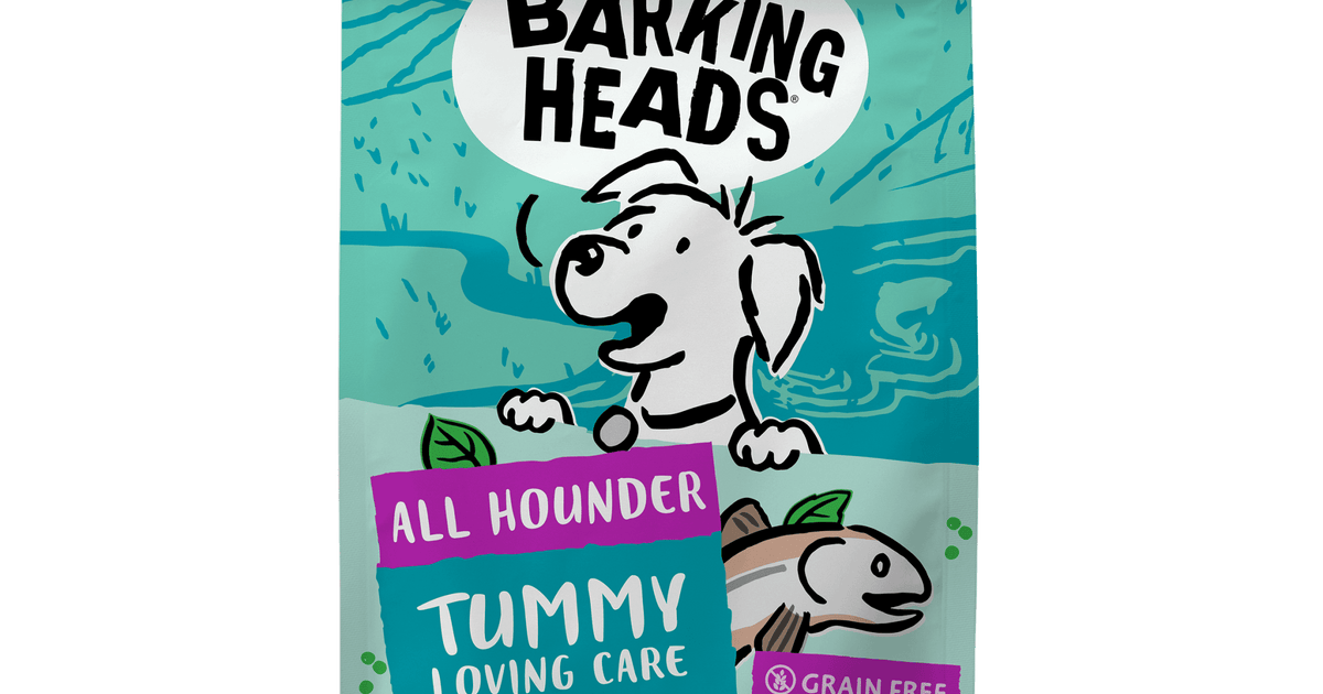 Tummy Loving Care Fish Dry Dog Food - All Hounder