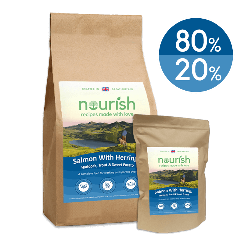 80/20 Grain Free Salmon with Herring, Haddock, Trout & Sweet Potato Dry Dog Food