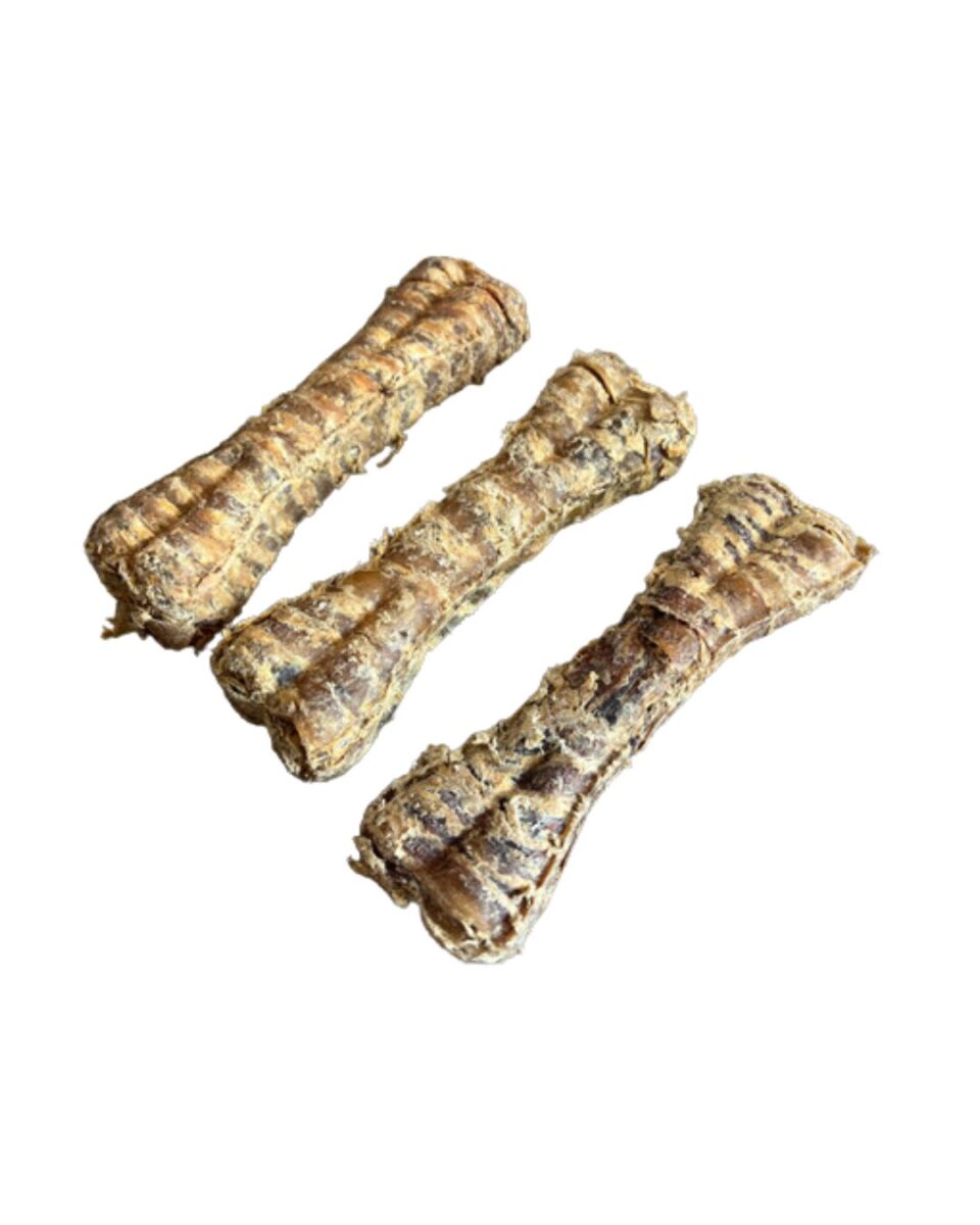Buffalo Trachea Bone