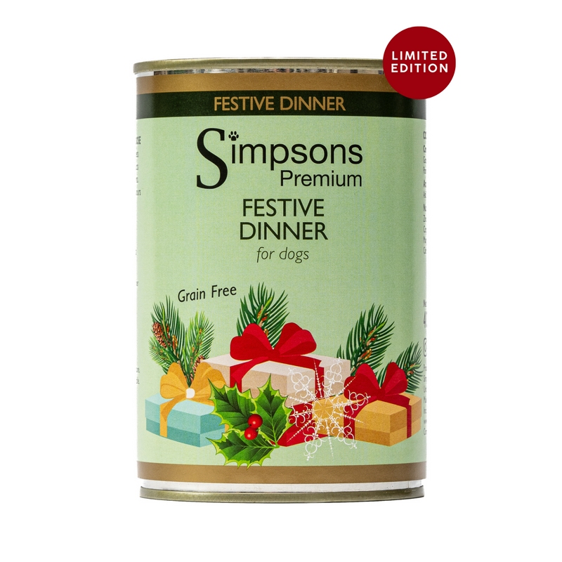 Festive Dinner For Dogs