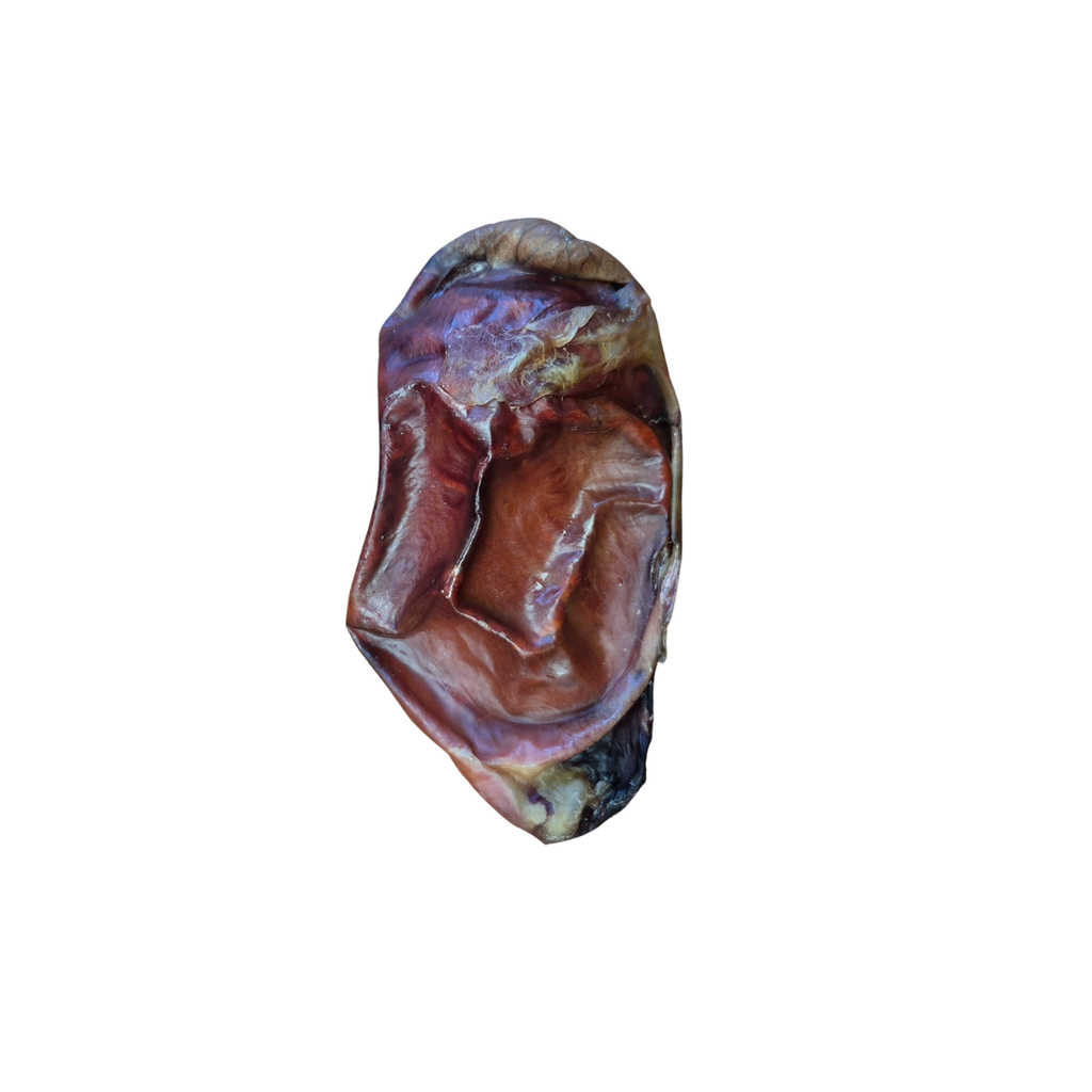 Dehydrated Beef Testicle
