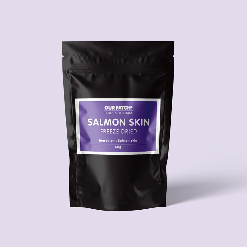 Salmon Skin
