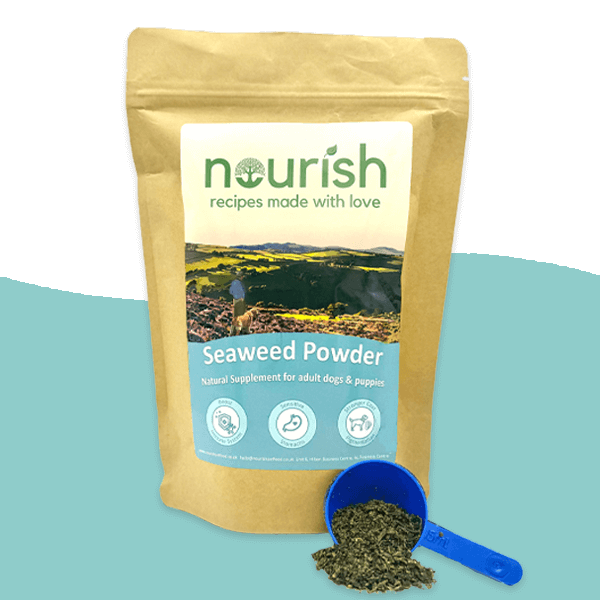 Seaweed Powder