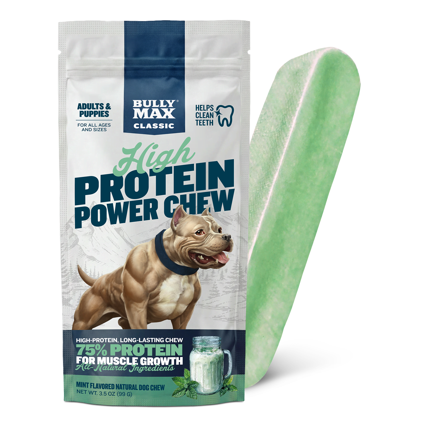 High Protein Power Chew Mint