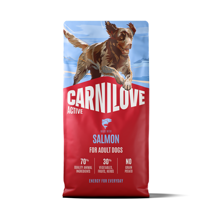 ACTIVE Dry Food Made with Salmon for Adult Dogs