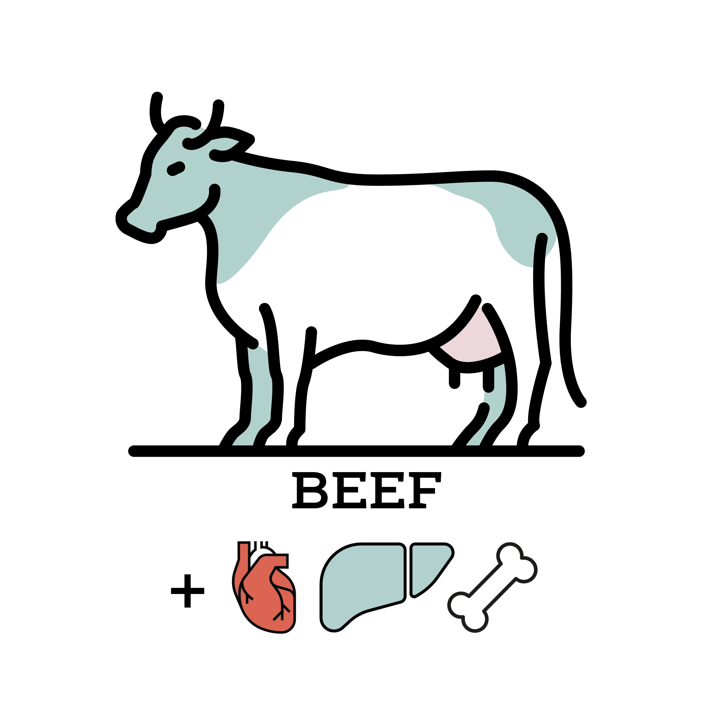 Beef Prey Model Raw (PMR)