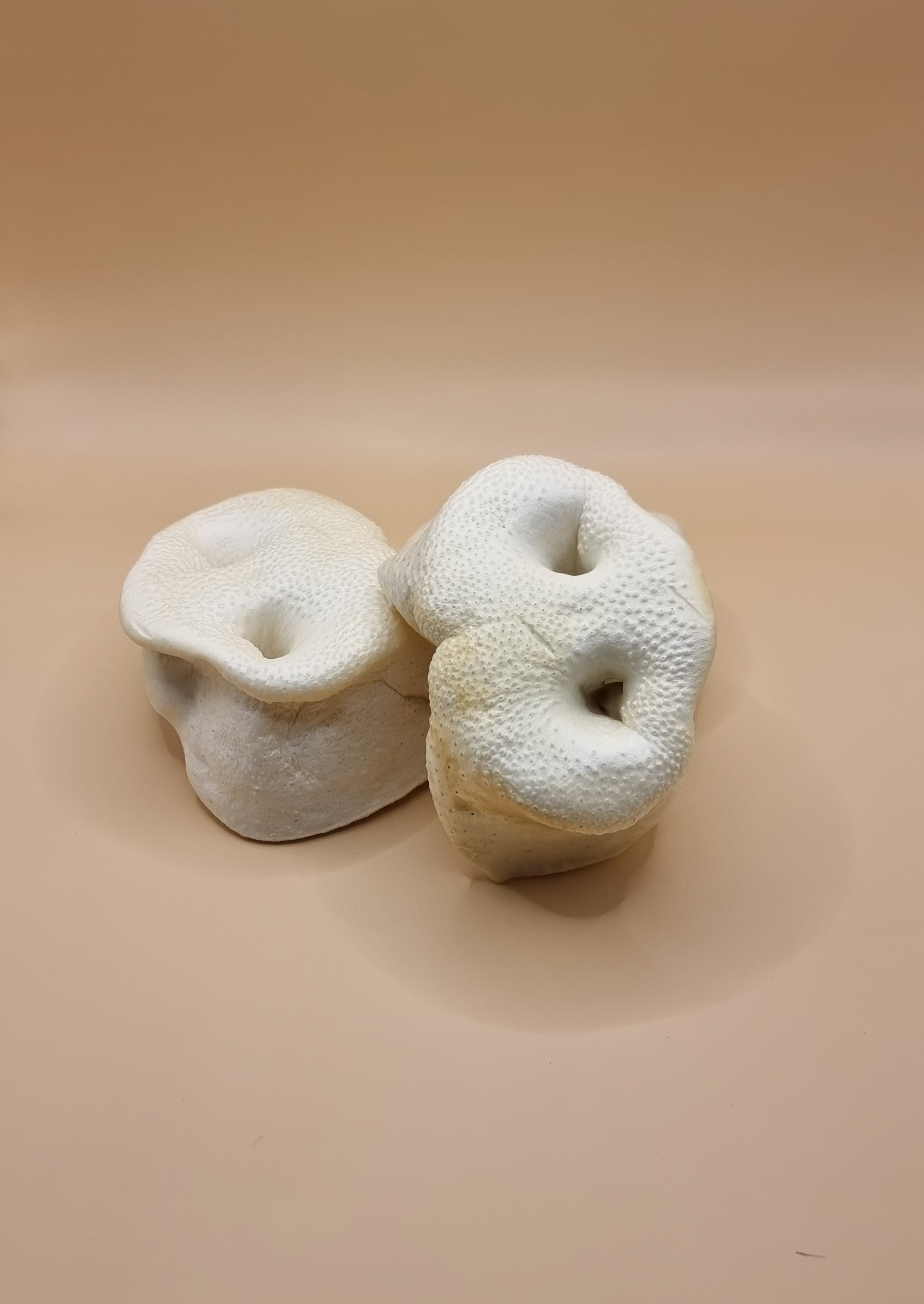 Puffed Pig Snout
