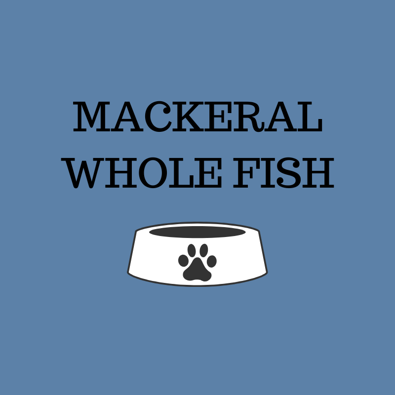Mackerel Whole