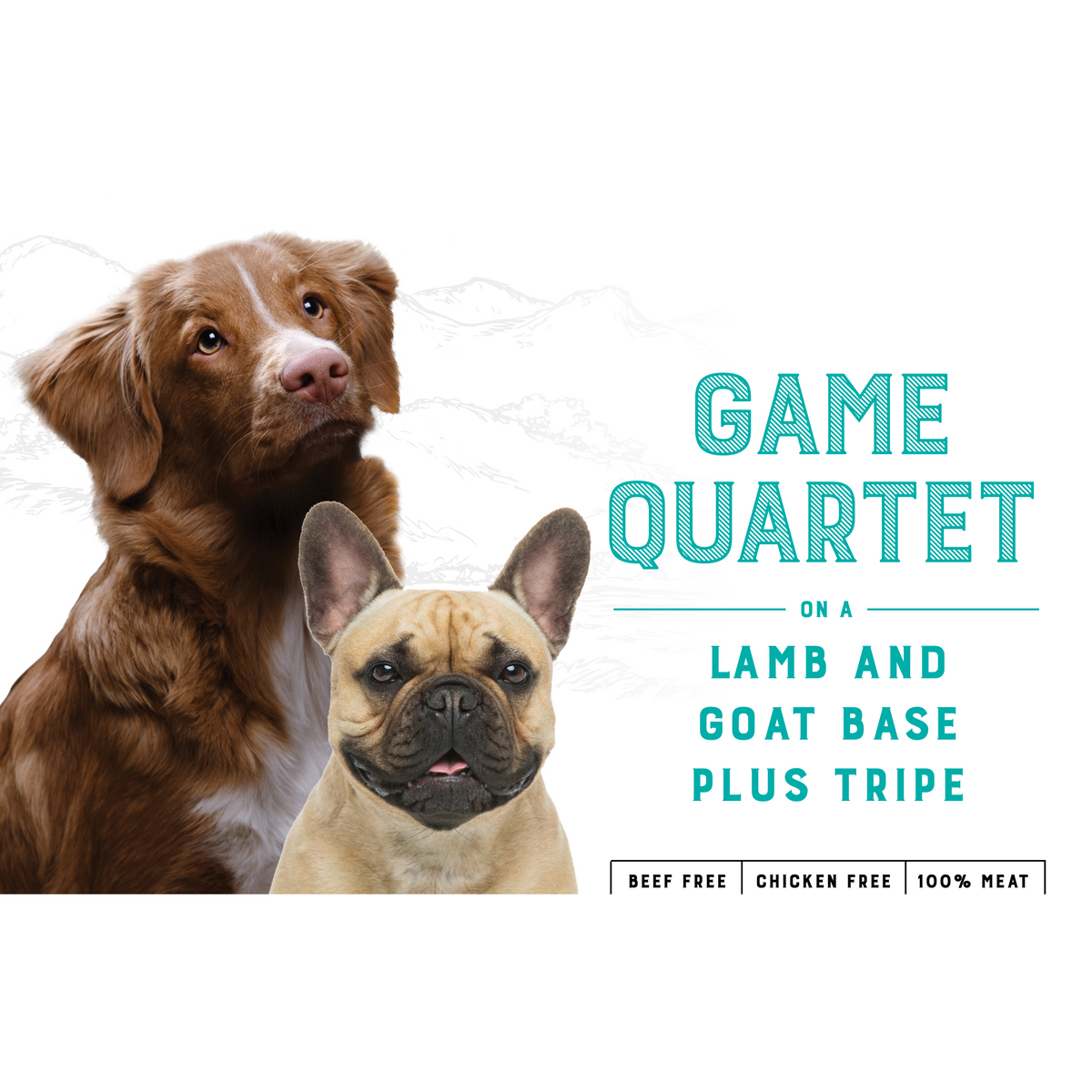 Canine Game Quartet